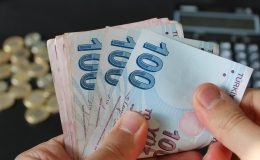 Yargı ve vergi paketleri ile sokak hayvanları konusu… Değişiklikler belli oldu